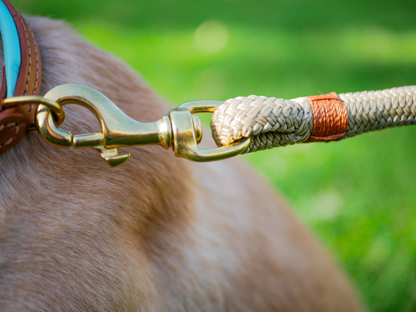 Bark & Vibe Clip Lead, Handmade UK