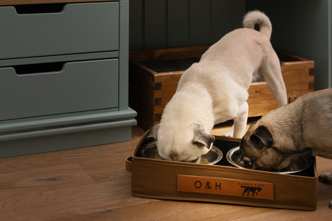 Personalisation to Doggy Diner Tray