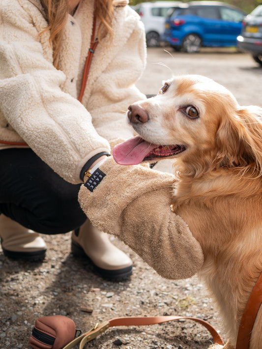 Dog Drying Mitts