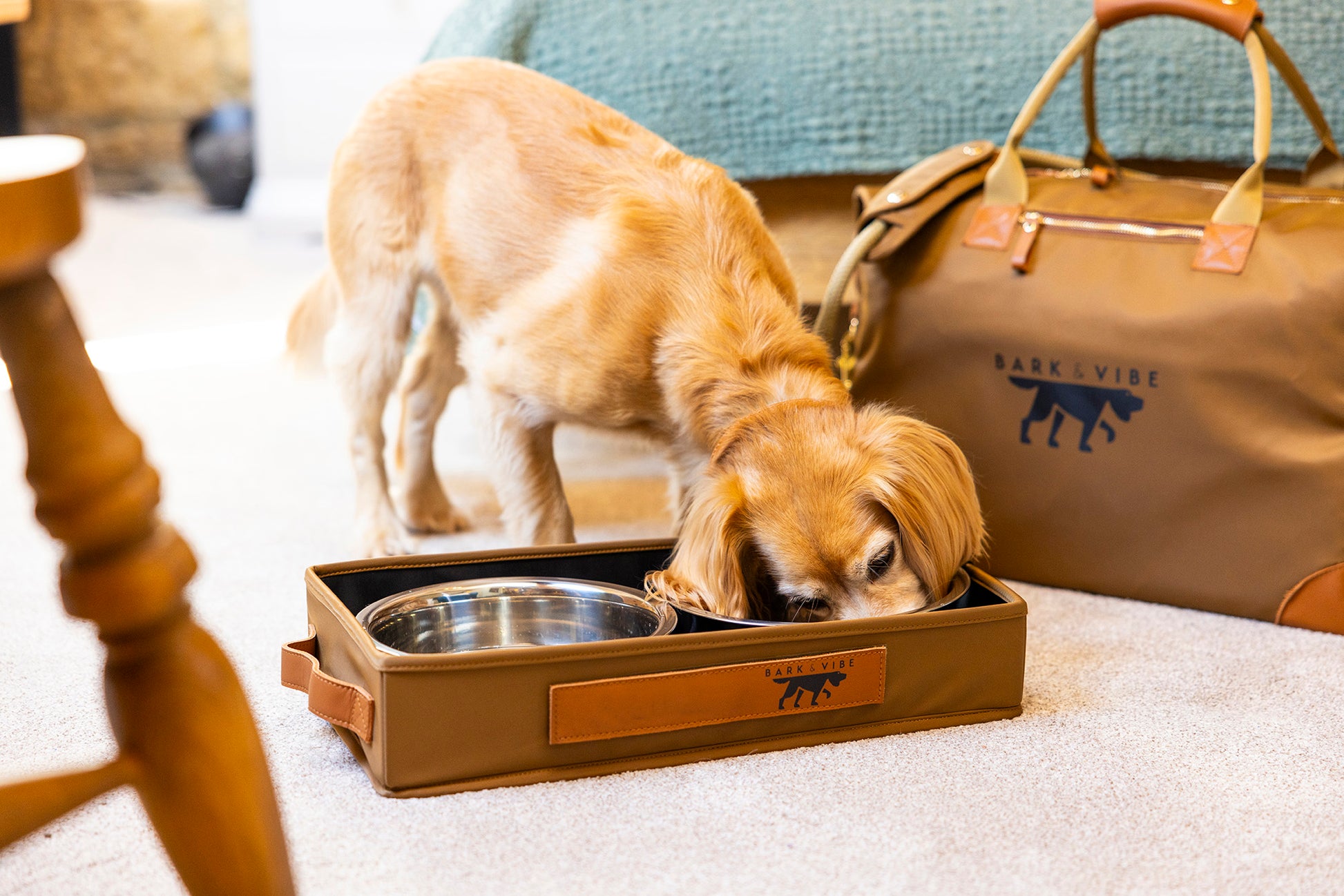 Bark Airlines You Can Take Dogs On Large Dogs On Airplanes Cargo